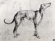 A Grayhound, Albrecht Durer